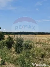 Vanzare Teren Intravilan Buftea, 750mp, str. Ulmului, Pis...