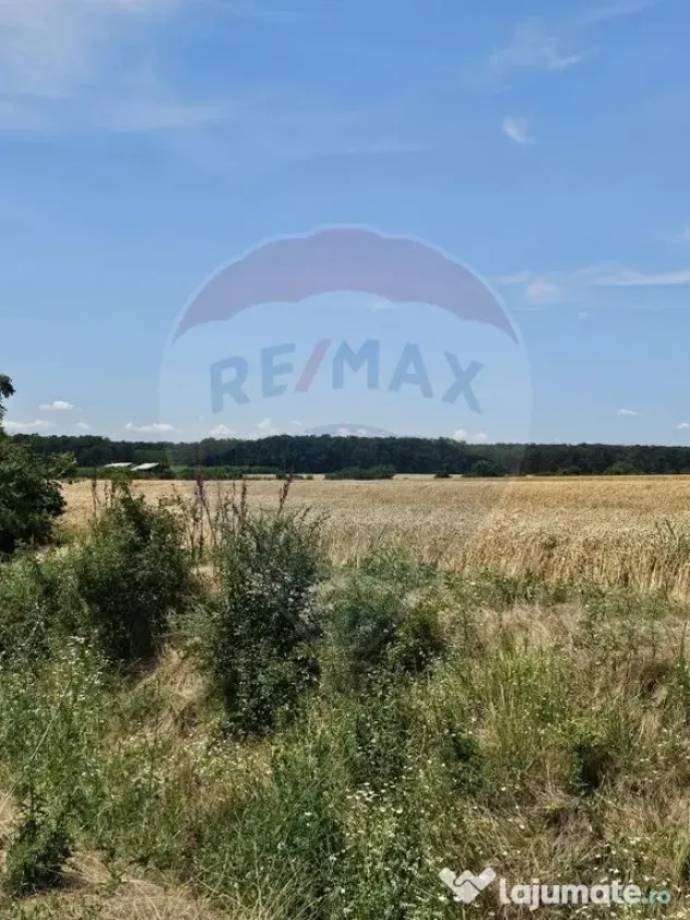 Vanzare Teren Intravilan Buftea, 750mp, str. Ulmului, Pis...