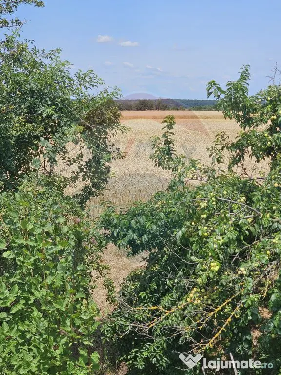 Vanzare Teren Intravilan Buftea, 750mp, str. Ulmului, Pis...