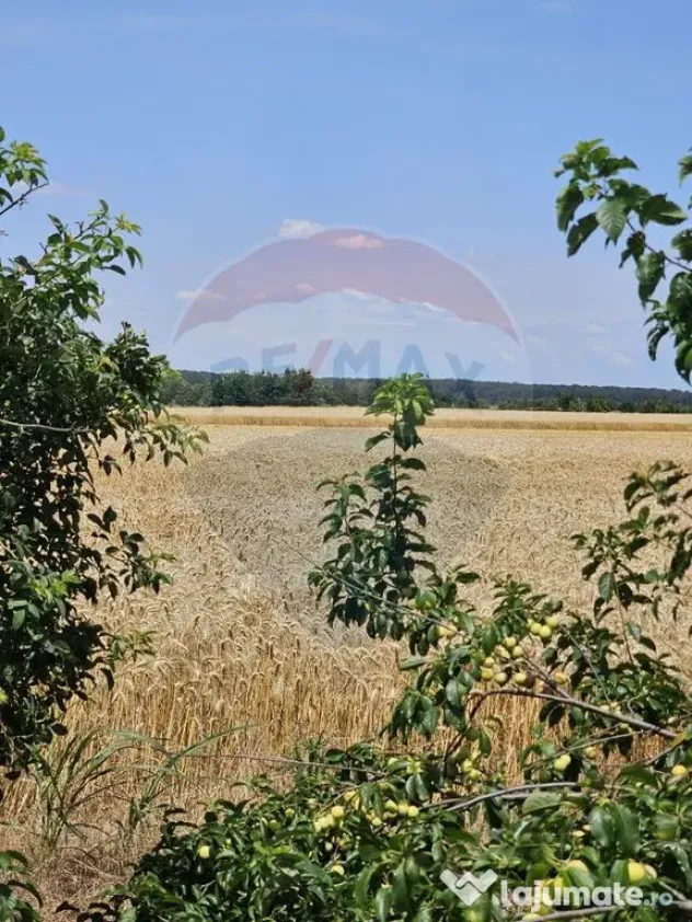 Vanzare Teren Intravilan Buftea, 750mp, str. Ulmului, Pis...