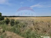 Vanzare Teren Intravilan Buftea, 750mp, str. Ulmului, Pis... 
