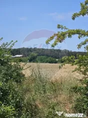 Vanzare Teren Intravilan Buftea, 750mp, str. Ulmului, Pis... 