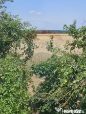 Vanzare Teren Intravilan Buftea, 750mp, str. Ulmului, Pis... 