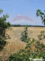 Vanzare Teren Intravilan Buftea, 750mp, str. Ulmului, Pis... 