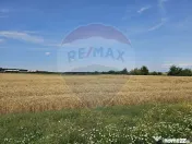 Vanzare Teren Intravilan Buftea, 750mp, str. Ulmului, Pis... 