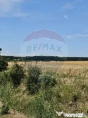 Vanzare Teren Intravilan Buftea, 750mp, str. Ulmului, Pis... 