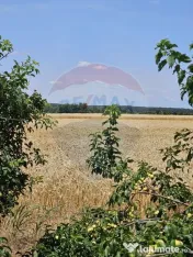 Vanzare Teren Intravilan Buftea, 750mp, str. Ulmului, Pis...