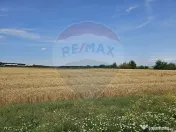 Vanzare Teren Intravilan Buftea, 750mp, str. Ulmului, Pis...