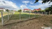 Teren intravilan Laminorul 