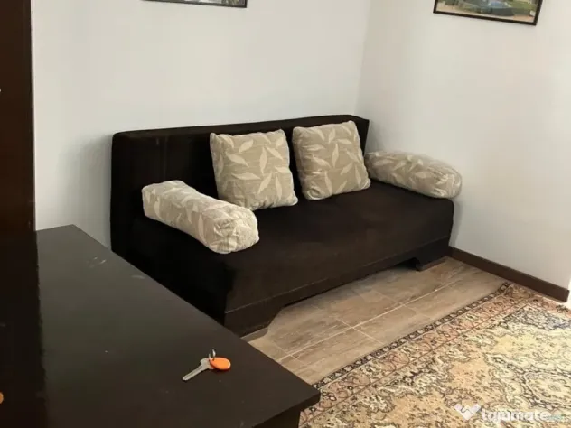 Iancului elev stefanescu etaj 1