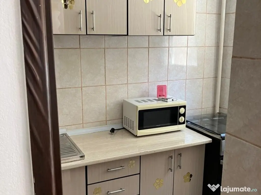 Iancului elev stefanescu etaj 1