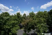 Apartament 2 Camere | Lascăr Catargiu | Calea Victoriei | I 
