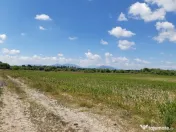 Teren agricol Podu Oltului la limita UAT Harman si UAT Prejmer 2 euro mp 