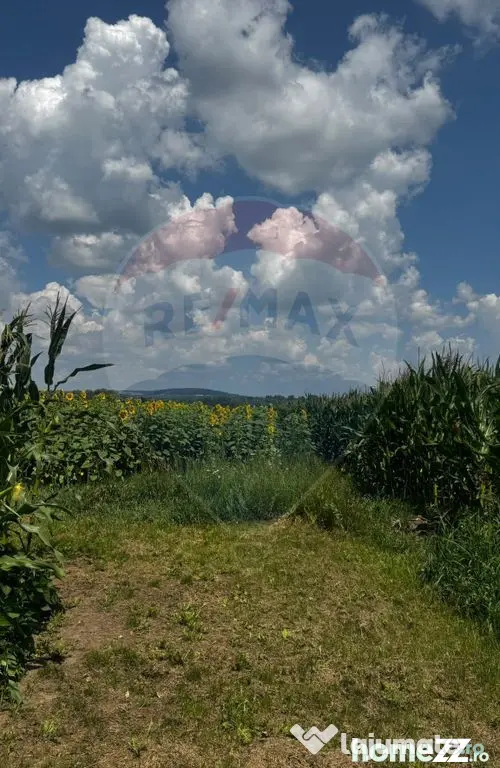 Teren 6,000mp Costana / DN 178A - Costana (Suceava)