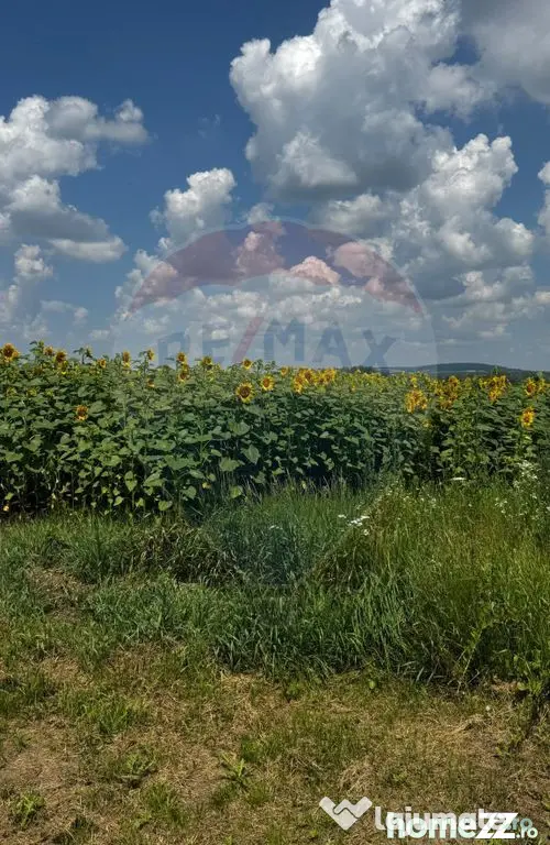 Teren 6,000mp Costana / DN 178A - Costana (Suceava)
