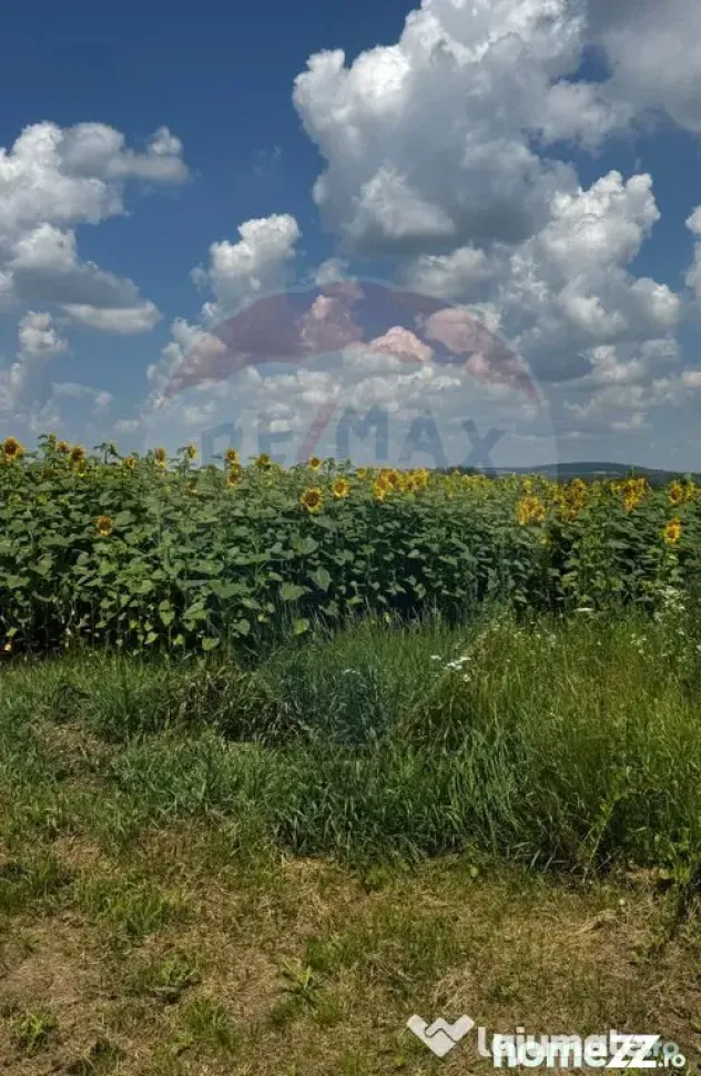 Teren 6,000mp Costana / DN 178A - Costana (Suceava)