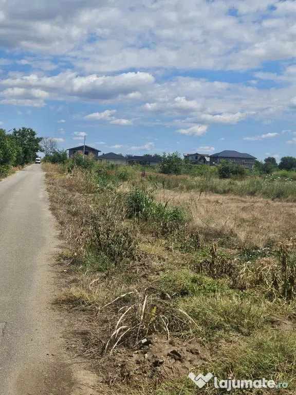 Teren 8000 mp intravilan rezidential Adunatii Copaceni (M...