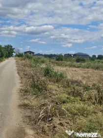 Teren 8000 mp intravilan rezidential Adunatii Copaceni (Mogossesti )