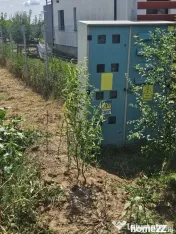 Teren 8000 mp intravilan rezidential Adunatii Copaceni (Mogossesti ) 