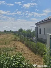 Teren 8000 mp intravilan rezidential Adunatii Copaceni (M... 