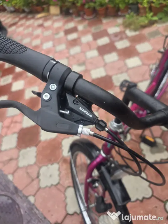 Bicicleta dama Manhattan 26