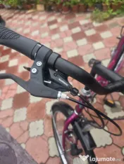 Bicicleta dama Manhattan 26 