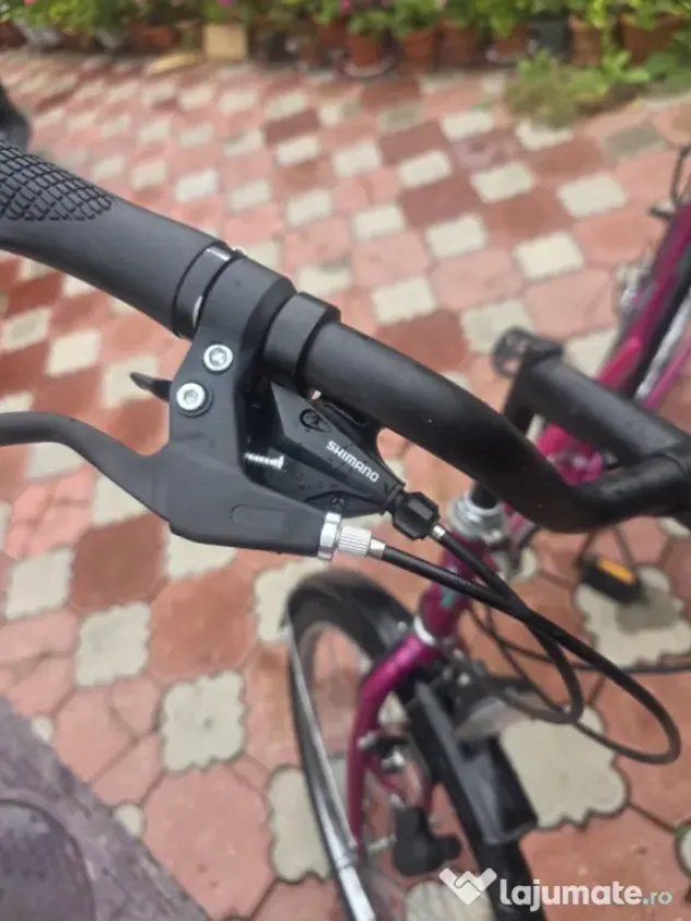 Bicicleta dama Manhattan 26