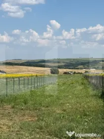 Teren intravilan, 600mp , Zona Zăicești - Botoșani