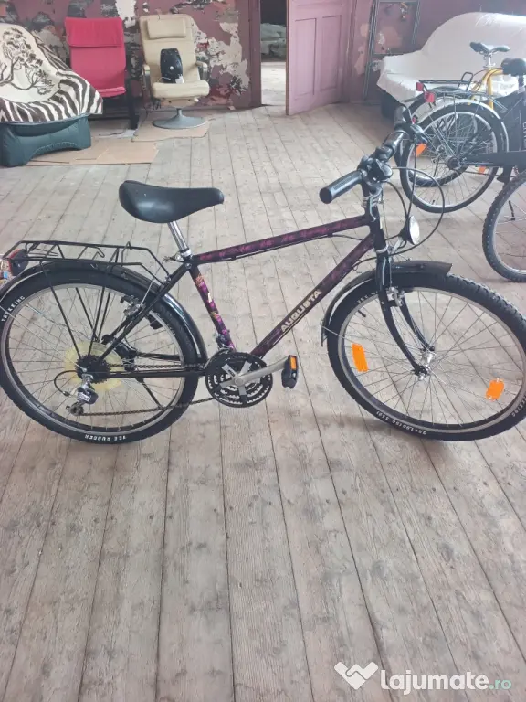 Bicicleta Augusta