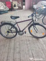 Bicicleta Augusta