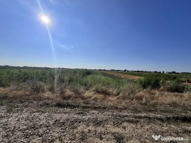 Teren Magurele. Vecin cu Pădurea Cornetu. Parcelabil. Dublu