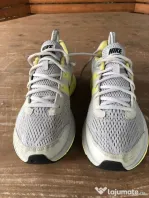 Nike Pegasus