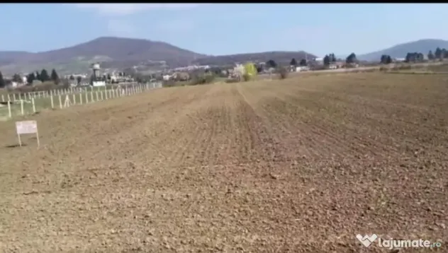 Teren intravilan 1.550 mp – Sărățel – Drum privat – Curent și apă