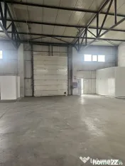Hala 595 mp Oras Pantelimon 