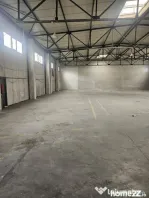 Hala 595 mp Oras Pantelimon