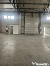 Hala 595 mp Oras Pantelimon 