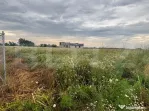 Teren intravilan de vânzare, 536 mp/lot, zona Ulmi