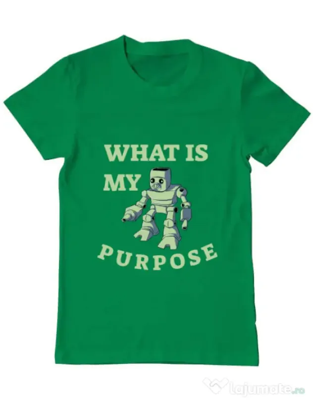 Tricou ADLER barbat What is my purpose Verde mediu