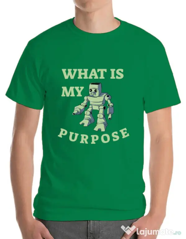 Tricou ADLER barbat What is my purpose Verde mediu