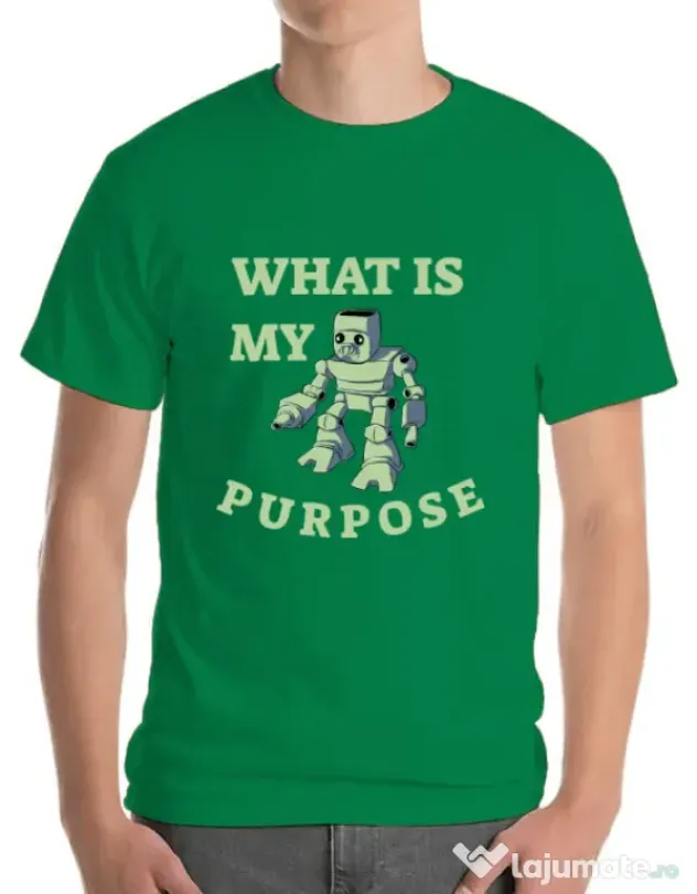 Tricou ADLER barbat What is my purpose Verde mediu