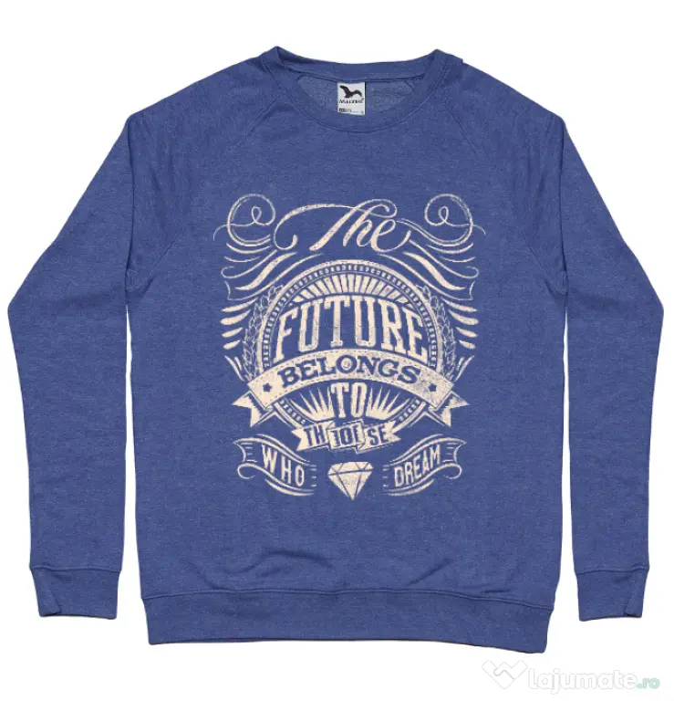 Bluza ADLER barbat The future Albastru melanj