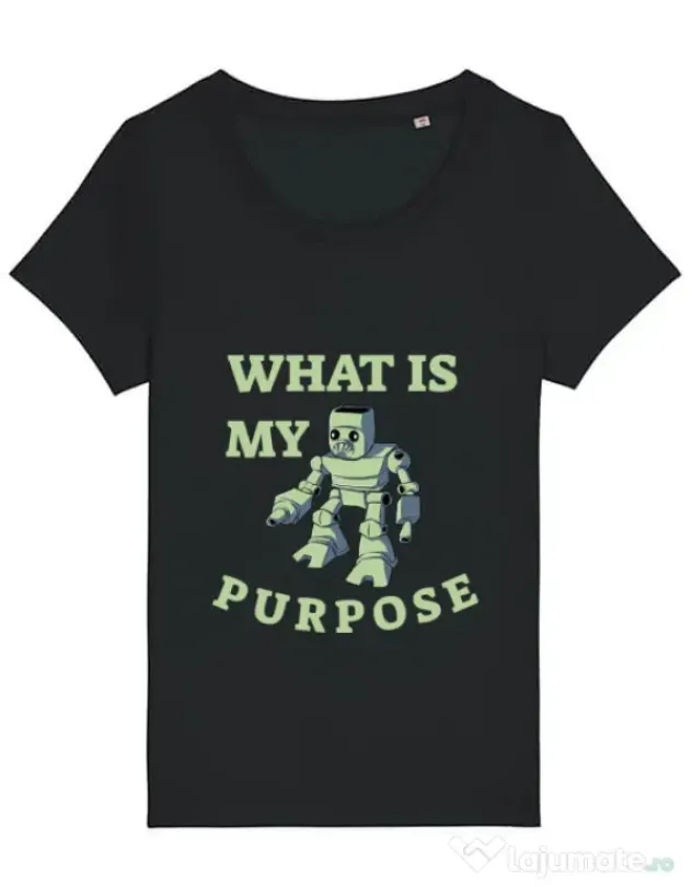 Tricou STANLEY STELLA dama What is my purpose Negru