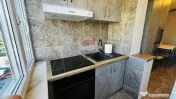 Apartament cu 1 camera de închiriat 