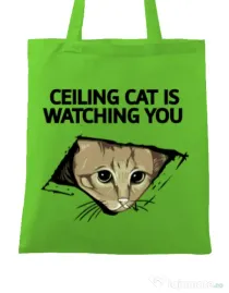 Sacosa din panza Ceiling cat Verde mar