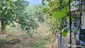 Casă cu teren foarte generos, la 5 minute de centrul orașu 