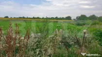 Teren parcelat pentru construcții, 5054.03 mp, zona Corneș