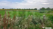 Teren parcelat pentru construcții, 5054.03 mp, zona Corneș