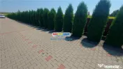 OPORTUNITATE DE INVESTITIE CASA P M, TEREN 10.000 MP. HUTANI 
