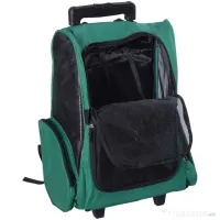 PawHut Trolley Rucsac Verde pentru Călătorii cu Animale de Companie, Confortabil și Sigur | Aosom Romania 