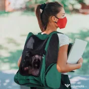 PawHut Trolley Rucsac Verde pentru Călătorii cu Animale de Companie, Confortabil și Sigur | Aosom Romania 